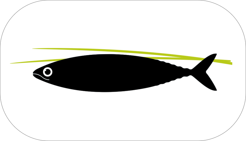 Francisco Providência