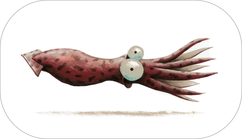 João Vaz de Carvalho