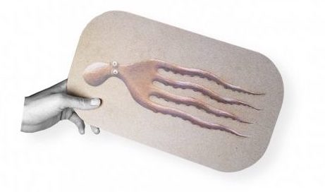 31 Olhares sobre a Jos&eacute; Gourmet